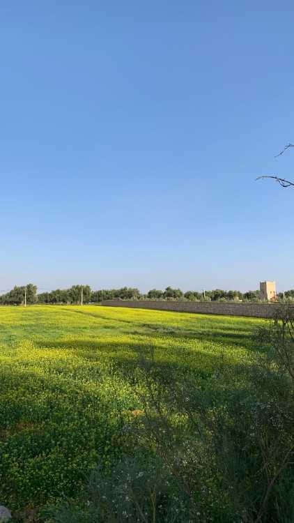 Terrain Titré à vendre – Ounagha