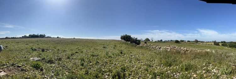 Terrain à vendre – 2600 m² environs de Essaouira