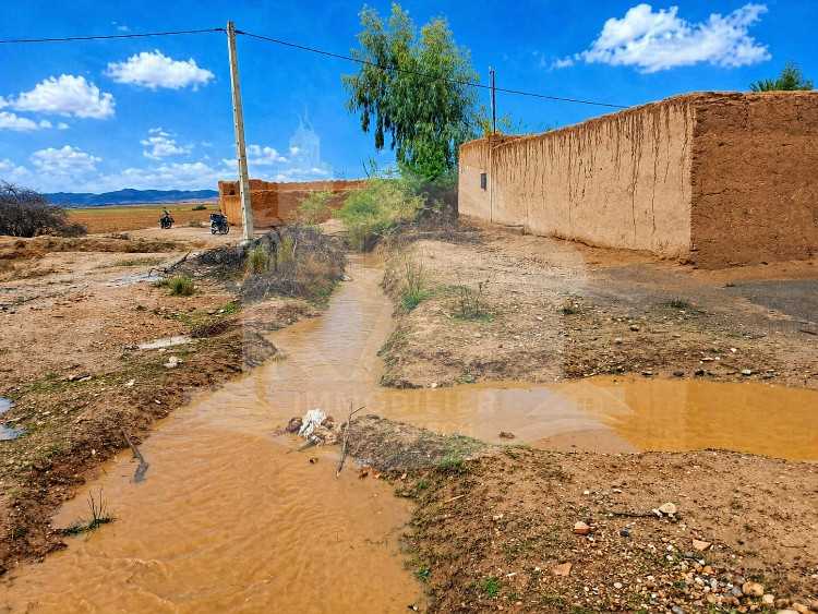 Terrain oliveraie 5,5 ha Agafay Marrakech