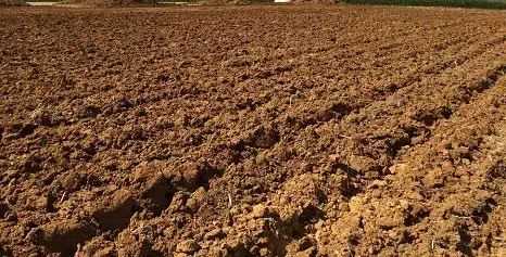 A vendre terrain agricole à Jemaa shaim